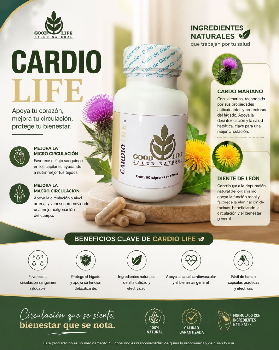 CARDIO LIFE® — Circulación que se siente, bienestar que se nota.