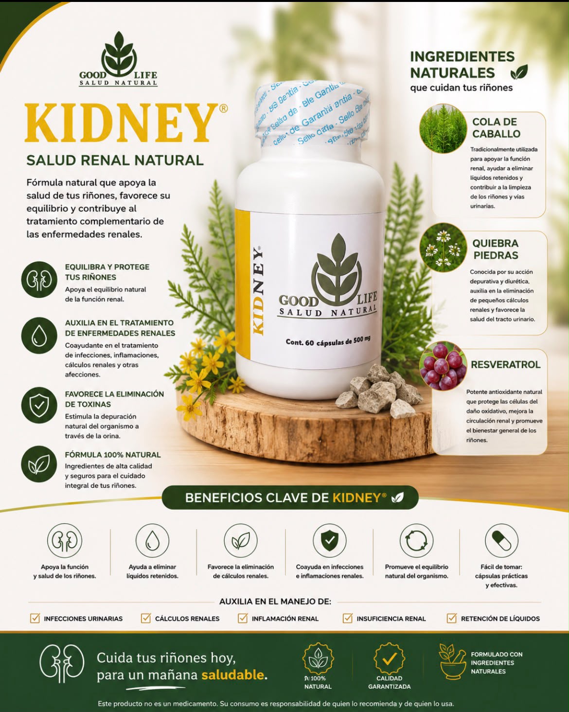 KIDNEY® — Salud renal natural: cuida tus riñones hoy.